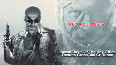 Jawan Day 5 Of The Box Office Results Gross 300 Cr Rupee